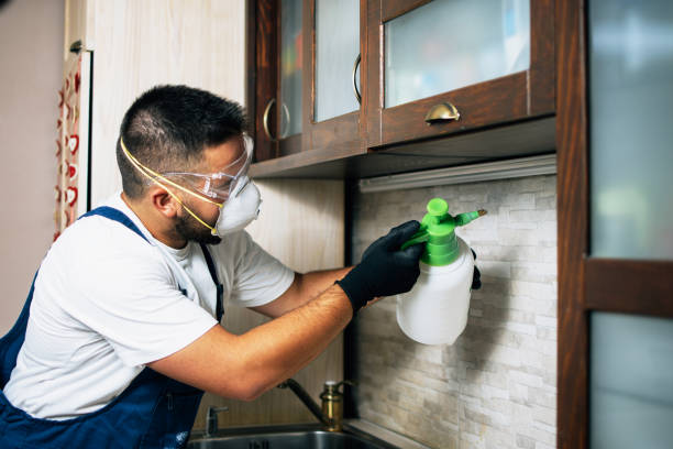Best Affordable Pest Control Services  in , NV