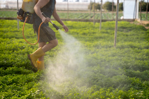 Best Best Pest Control Companies  in , NV