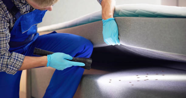 Best Local Pest Control Services  in , NV