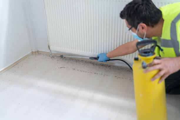 Best Local Pest Control Services  in , NV